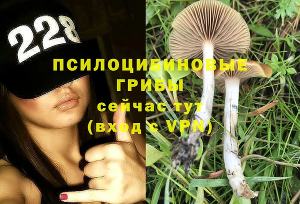 ешки Верхний Тагил